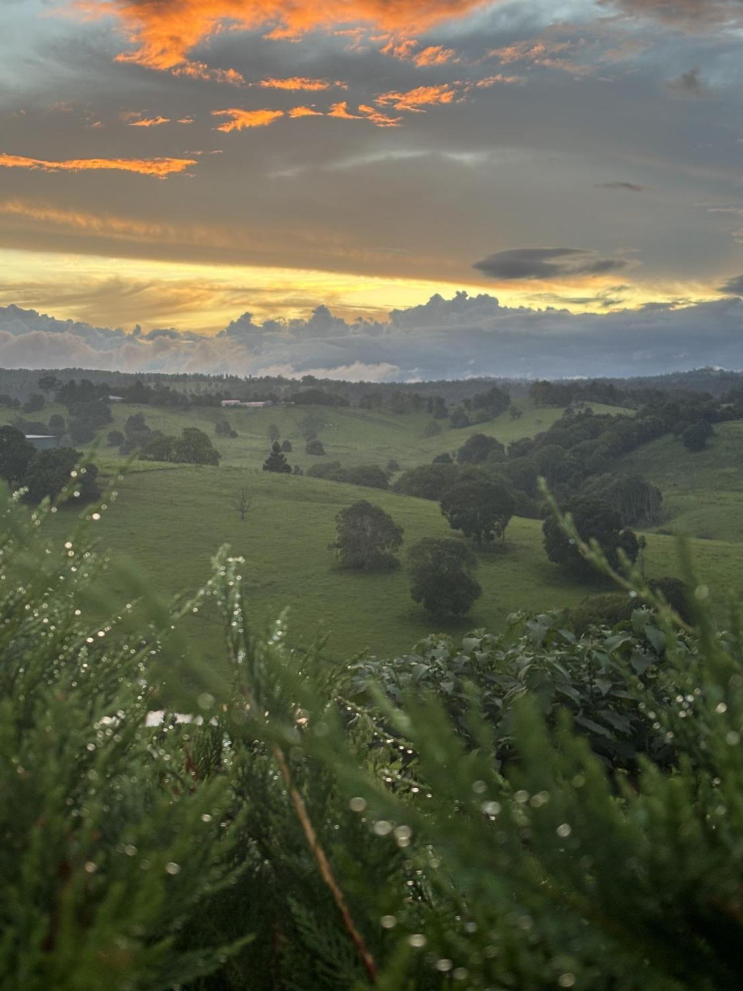 Ten Acres Beechmont Εξωτερικό φωτογραφία